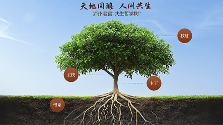 大奖国际·18dj18(中国)官方网站