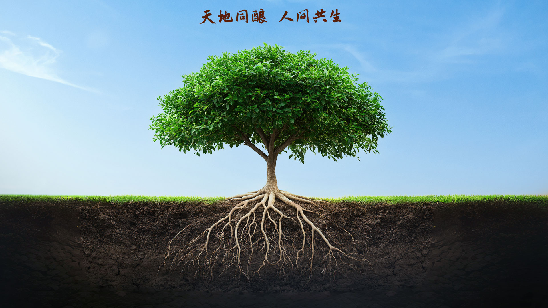 大奖国际·18dj18(中国)官方网站